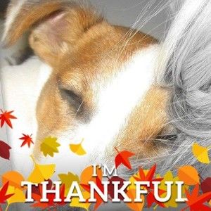 Meet your Posher, Jan